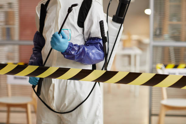 Professional Trauma Scene Cleanup technician working in Alamo, IN